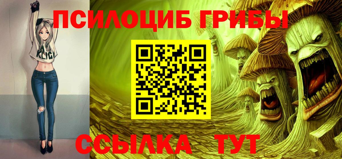 Псилоцибиновые грибы Psilocybine cubensis Советск